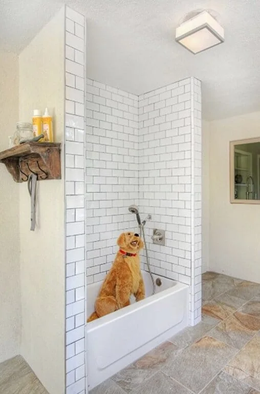 Mid-Century Modern project image