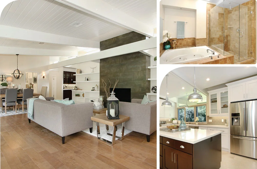 Mid-Century Modern project image